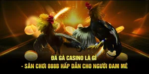Đá Gà Casino Là Gì - Sân Chơi 888B Hấp Dẫn Cho Người Đam Mê