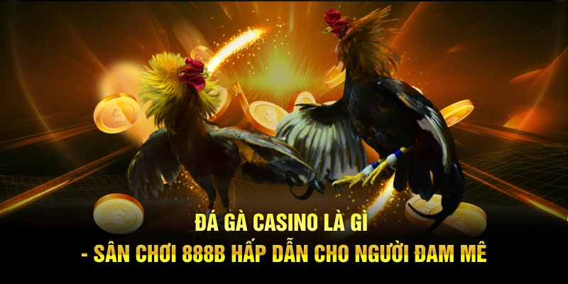 Đá Gà Casino Là Gì - Sân Chơi 888B Hấp Dẫn Cho Người Đam Mê
