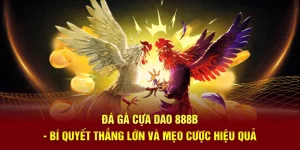 Đá Gà Cựa Dao 888B - Bí Quyết Thắng Lớn Và Mẹo Cược Hiệu Quả