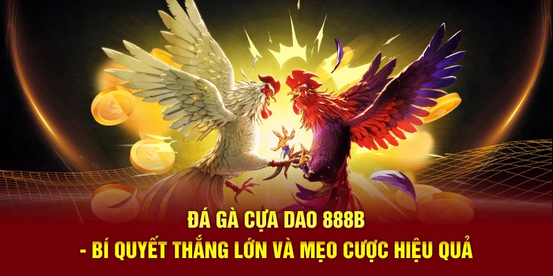 Đá Gà Cựa Dao 888B - Bí Quyết Thắng Lớn Và Mẹo Cược Hiệu Quả