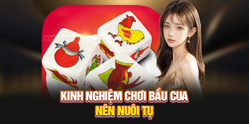 Kinh nghiệm chơi Bầu Cua nên nuôi tụ