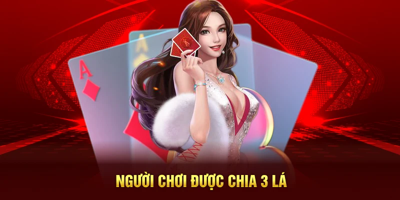 Người chơi được chia 3 lá