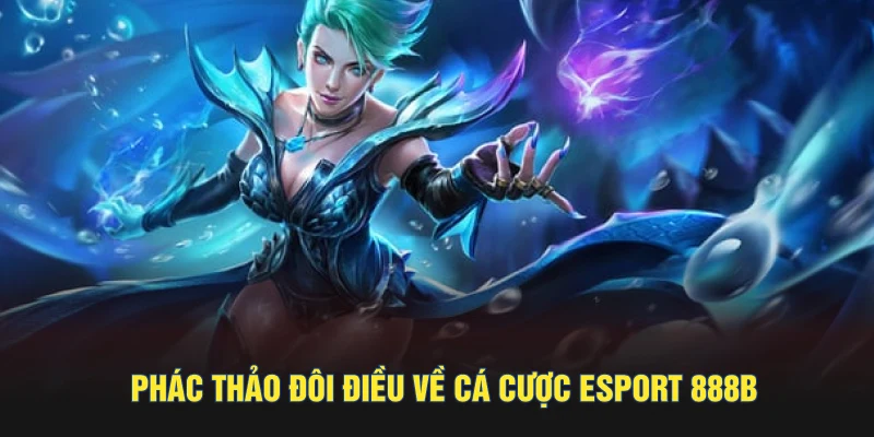 Phác thảo đôi điều về cá cược esport 888B