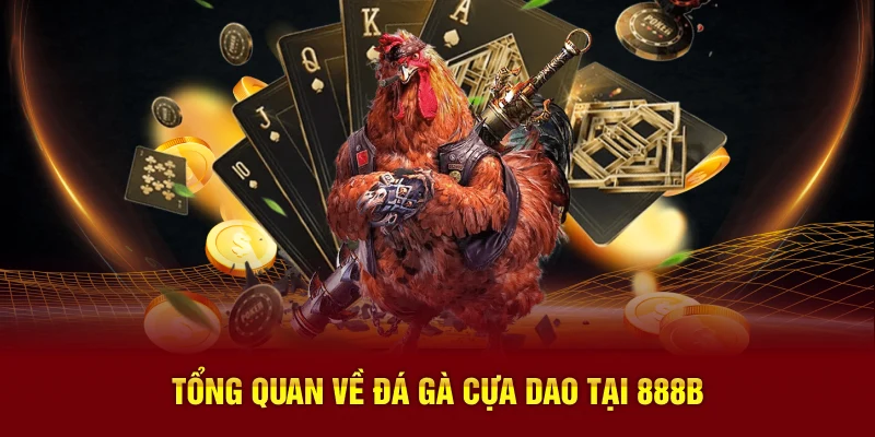 Tổng quan về đá gà cựa dao tại 888B